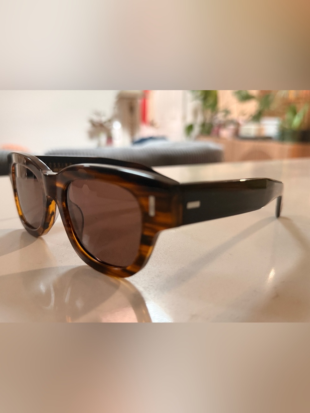 Cossino 49mm Wayfarers | Tortoiseshell | Brand New with Box 🕶️